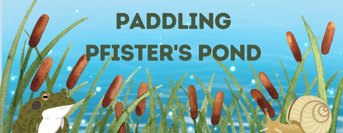 Paddling Pfister's Pond 8/30/2026 11am